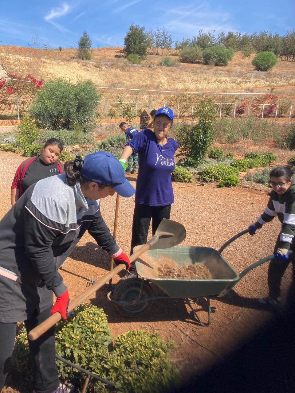 Gardening program